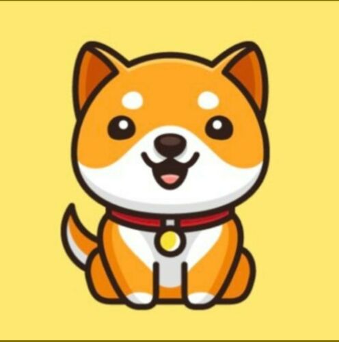 5 Billion Baby Doge Coin (BABYDOGE) mining contract - Same Day avail!