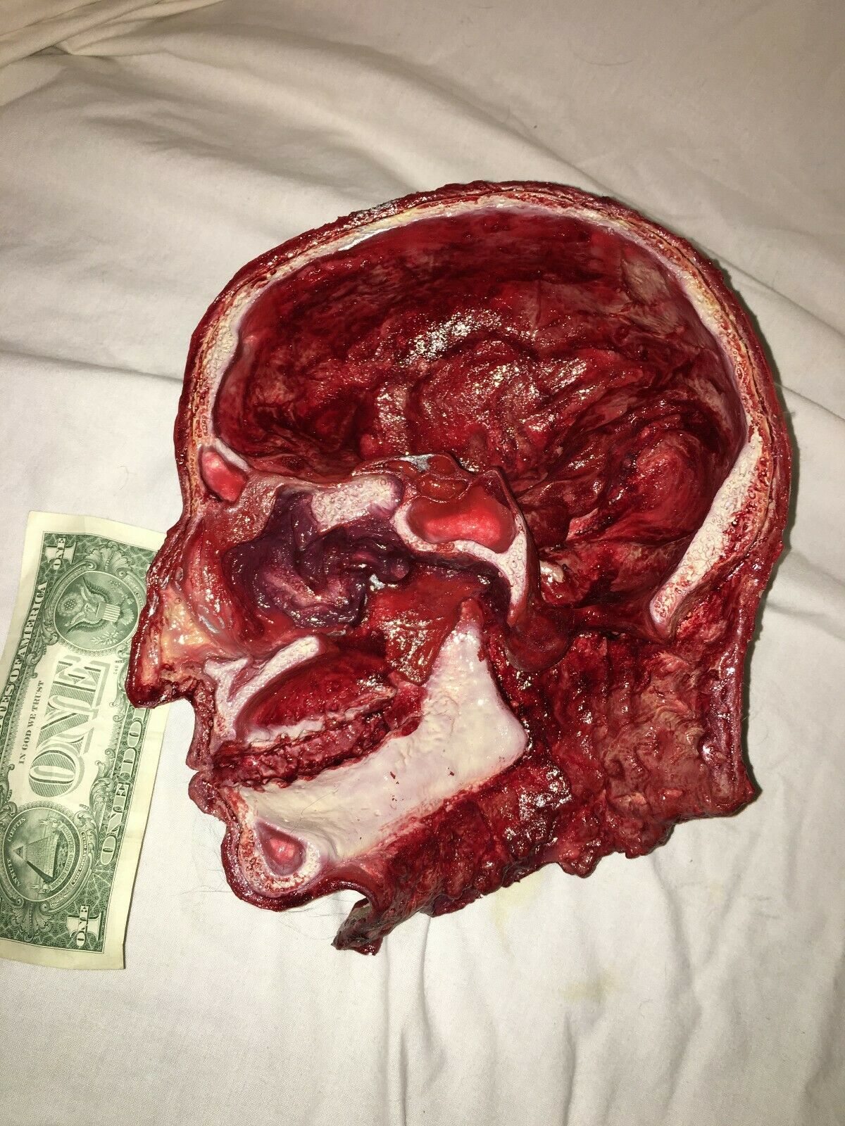 Halloween horror prop SLICED HALF OF A HEAD. Bloody on one side. Unique custom.